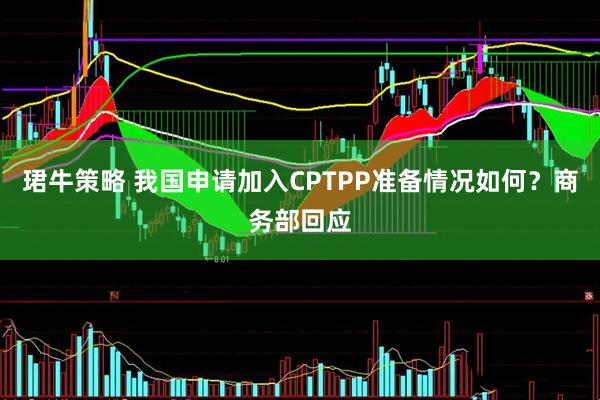 珺牛策略 我国申请加入CPTPP准备情况如何？商务部回应