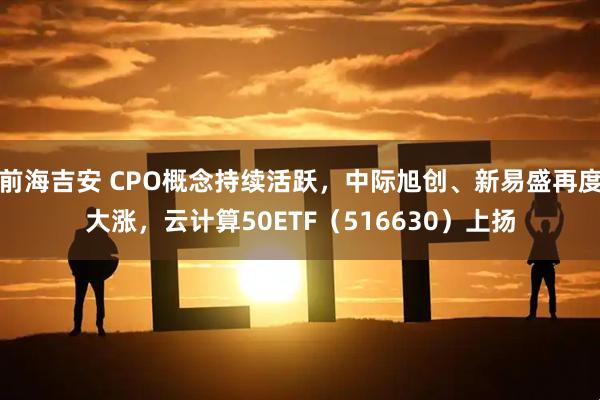 前海吉安 CPO概念持续活跃，中际旭创、新易盛再度大涨，云计算50ETF（516630）上扬