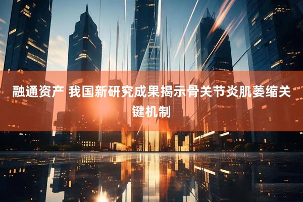 融通资产 我国新研究成果揭示骨关节炎肌萎缩关键机制